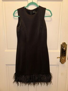Sleeveless Black Mini Dress with Feather Hem Size 6 maia cocktail dress
